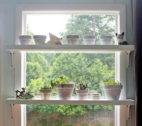 diy window plant shelves, container gardening, gardening, how to, shelving ideas