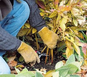 s see how 11 clever gardeners get their yards ready for fall, gardening, They remove any dead growth and debris