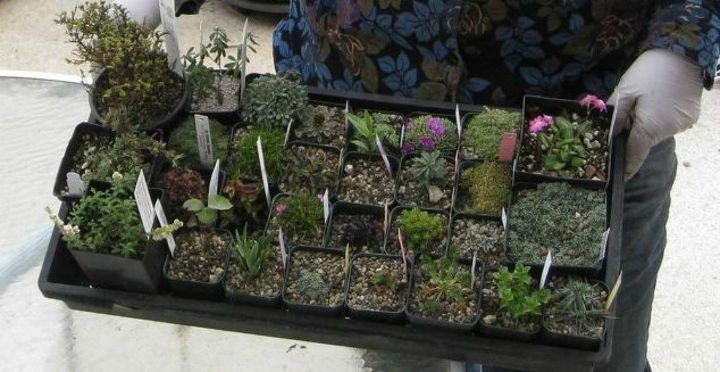 veja como 11 jardineiros inteligentes preparam seus jardins para o outono, Jardinagem de inverno agora a hora de come ar a plantar na primavera