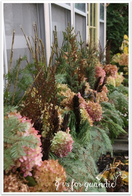 a fall into winter window box , container gardening, flowers, gardening, how to, hydrangea