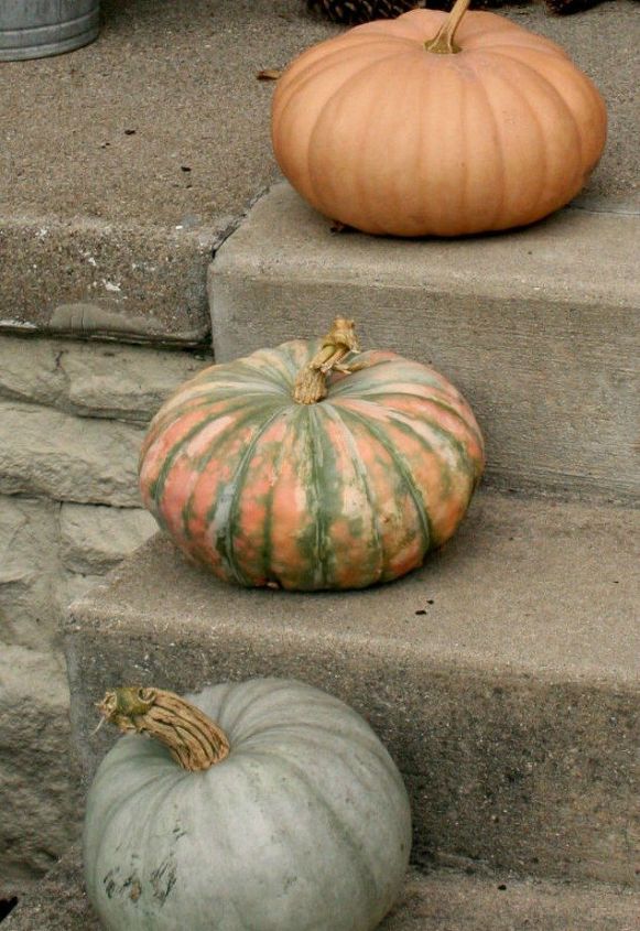 estas 17 idias de varanda de outono lhe daro aquela deliciosa sensao de outono, Uma simples varanda de outono