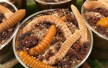 Gummy Worm Brownie Dirt Cups With Realistic Earthworms