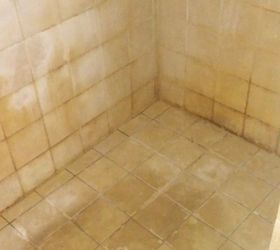 cleaning a soap scumy shower, HELP Yuck