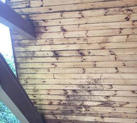 What can take mold off of my porch ceiling? | Hometalk