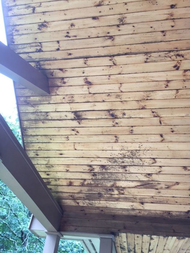 what can take mold off of my porch ceiling, My ceiling on the front porch has mold I don t want to kill my plants next to porch ServPro couldn t JoMax didn t work I have a stain on house wall that I would like to keep What can I do to take the mold off