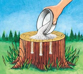 natural stump removal how to do it without stump grinding, how to