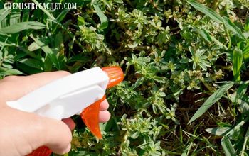 Asesino casero de hierbas DIY (¡también es bueno para las hormigas!) con ingrediente secreto