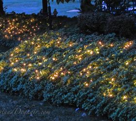 how to make your garden glow, gardening, how to, landscape, lighting, perennial