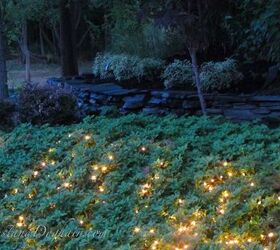 how to make your garden glow, gardening, how to, landscape, lighting, perennial