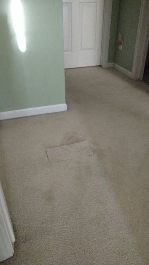 q trying to repair replace torn carpet in house , flooring, home maintenance repairs, minor home repair