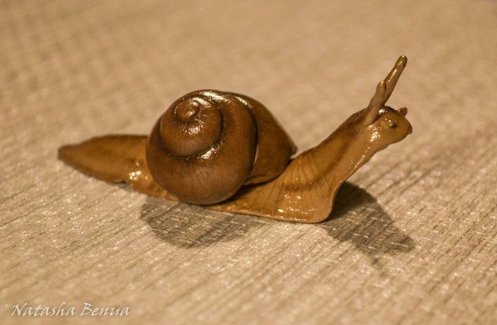 Download My Last Creation - Polymer Clay Garden Snail :) | Hometalk