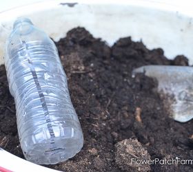 easy air layering to propagate roses faster than cuttings, flowers, gardening, plant care