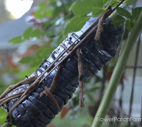 easy air layering to propagate roses faster than cuttings, flowers, gardening, plant care