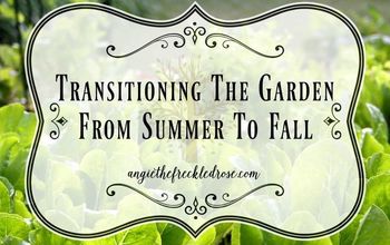 Transitioning The Garden From Summer To Fall