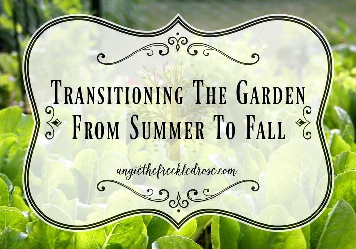 transitioning the garden from summer to fall, gardening, landscape, outdoor living
