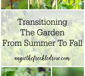 transitioning the garden from summer to fall, gardening, landscape, outdoor living, Pin for later