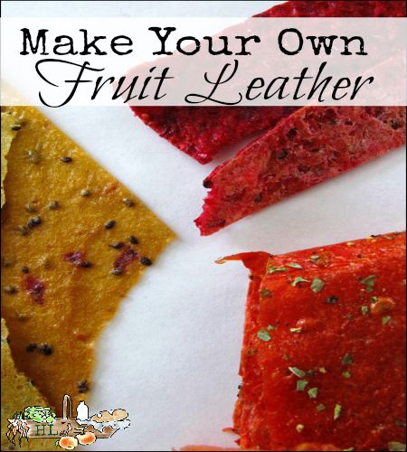 gardening ideas fruit leather, homesteading