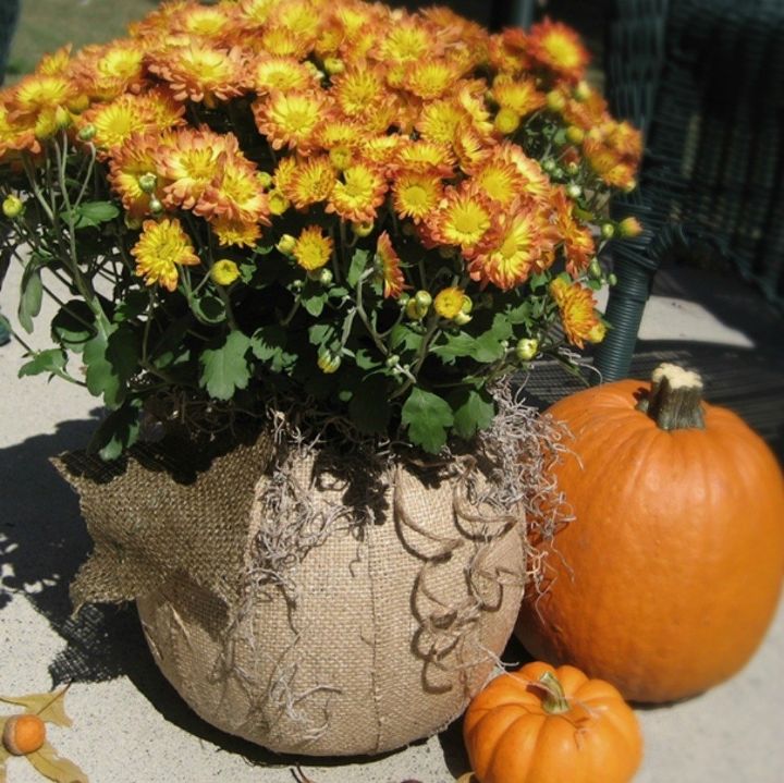 Best Plastic Pumpkin Makeovers for Halloween