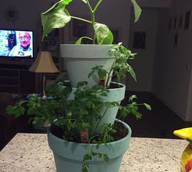 vertical planter for patio, gardening