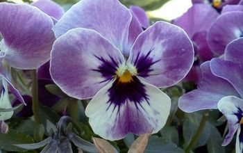 The Top 15 Fall Flowers Everyone is Loving This Season