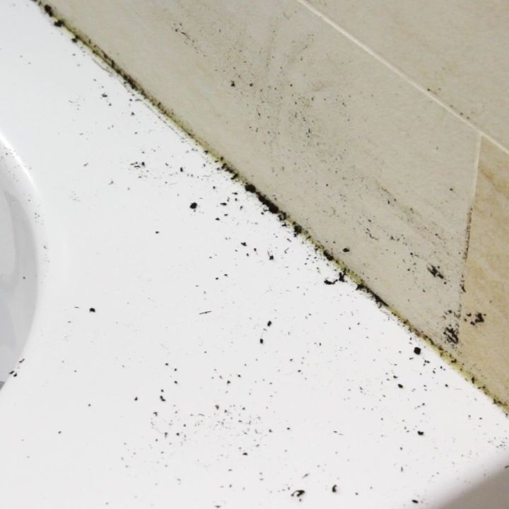 homemade grout tile and tub cleaner