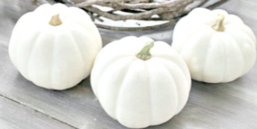 3 white pumpkins 3 decorating ideas, crafts, home decor, seasonal holiday decor