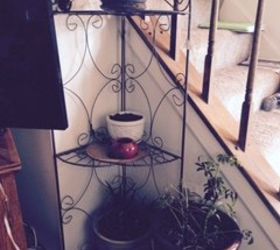 q decor to replace failing potted plants, home decor, home decor dilemma