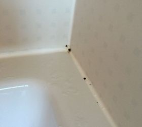 how to remove these black marks in my bathroom, How to remove black bits around the bath