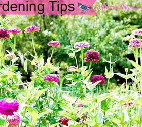 tips on growing a fall garden, gardening, plant care