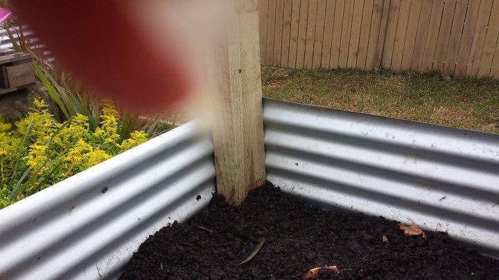another corrugated iron raised garden bed