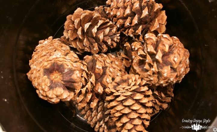 bleached and sandy pine cones, crafts, gardening, woodworking projects