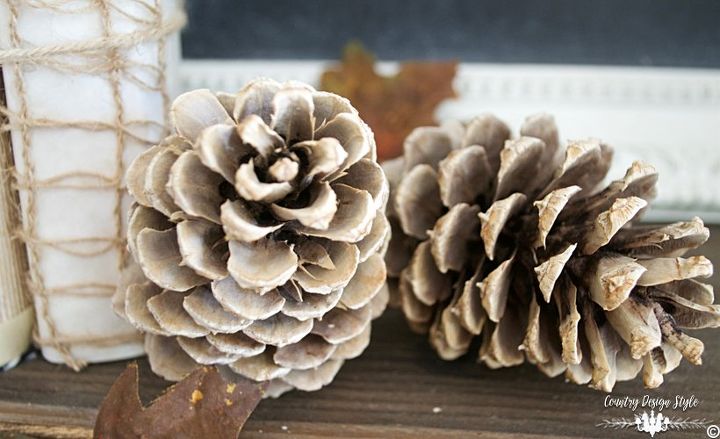 bleached and sandy pine cones, crafts, gardening, woodworking projects