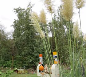 Decorate Your Fall Porch With Pampas Grass Hometalk