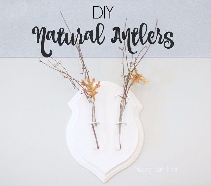 diy natural antlers, fireplaces mantels, gardening, home decor, how to, painted furniture, pets animals, repurposing upcycling, shelving ideas, tools, wall decor