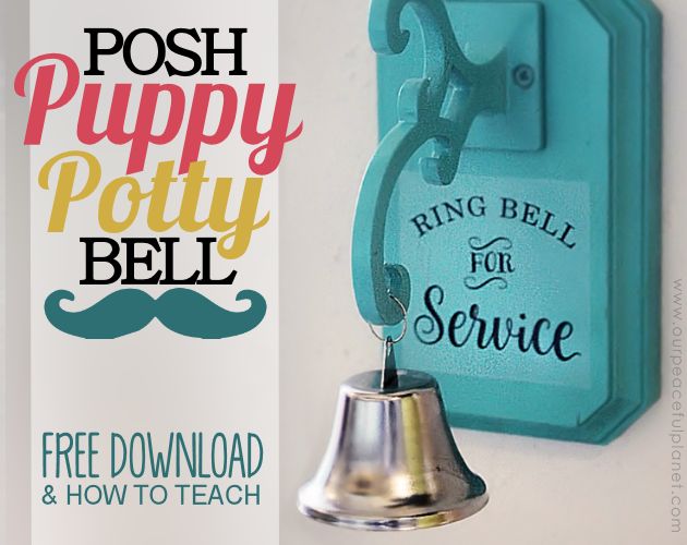 posh dog potty bell