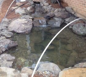 fall pond netting, ponds water features