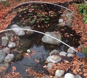 fall pond netting, ponds water features