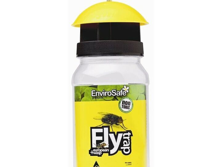 q kill mosquitoes, bug extermination, indoor pests, pest control