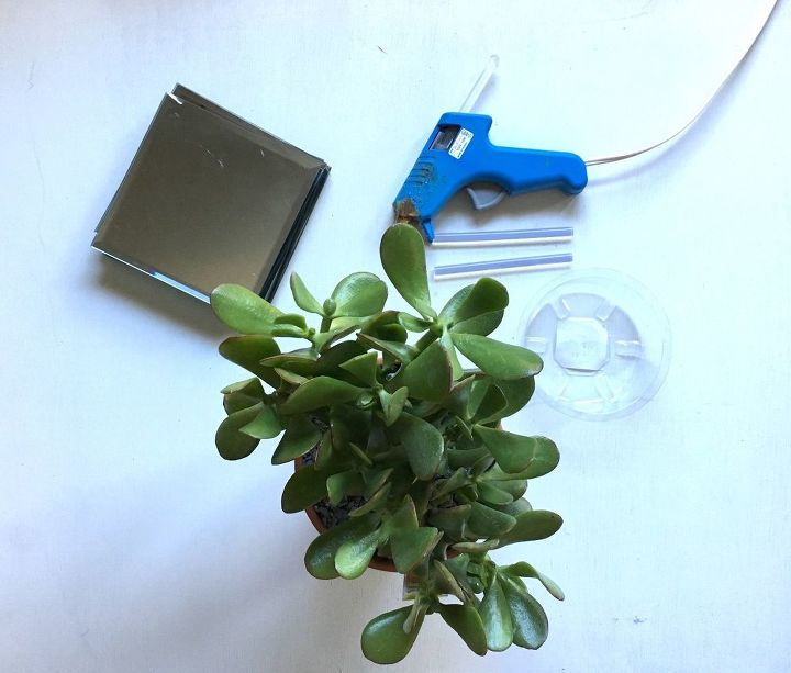 Wait Dollar Mirrors Can Become What Hometalk Dollar Tree Mirror Box Centerpiece Home Decor