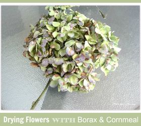 drying flowers with borax cornmeal mixture, crafts, flowers, gardening, home decor