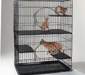 q alternate uses of kitten cage, repurpose unique pieces, repurposing upcycling