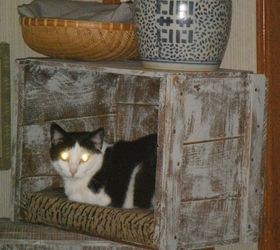 cat tree with crates, repurposing upcycling