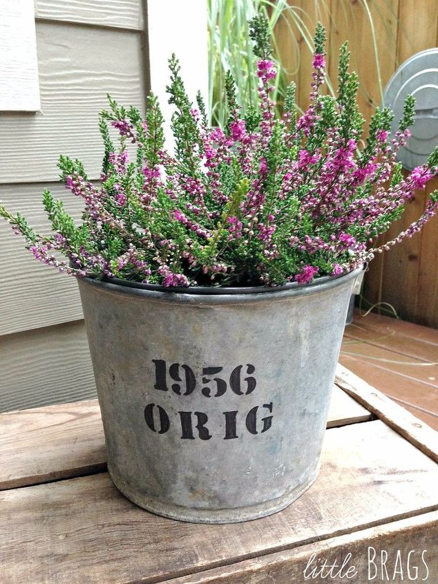 diy personalized birthday gift idea, bedroom ideas, container gardening, crafts, gardening, home decor