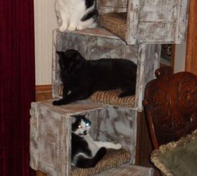 milk crate cat tree