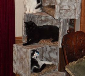 cat tree with crates, repurposing upcycling