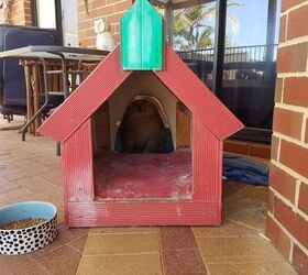 unwanted dog kennel, pets, pets animals