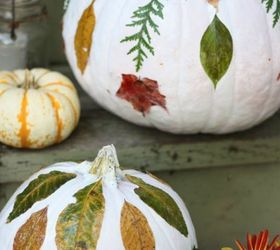 s 13 popular ways to decorate a pumpkin with little or no carving, Mod podge colorful fall flowers