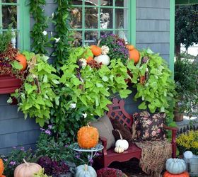 transition summer window boxes to fall with pumpkins, container gardening, gardening