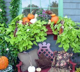 transition summer window boxes to fall with pumpkins, container gardening, gardening