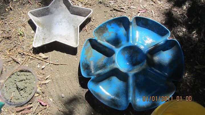 chip and dip flowers anyone , gardening